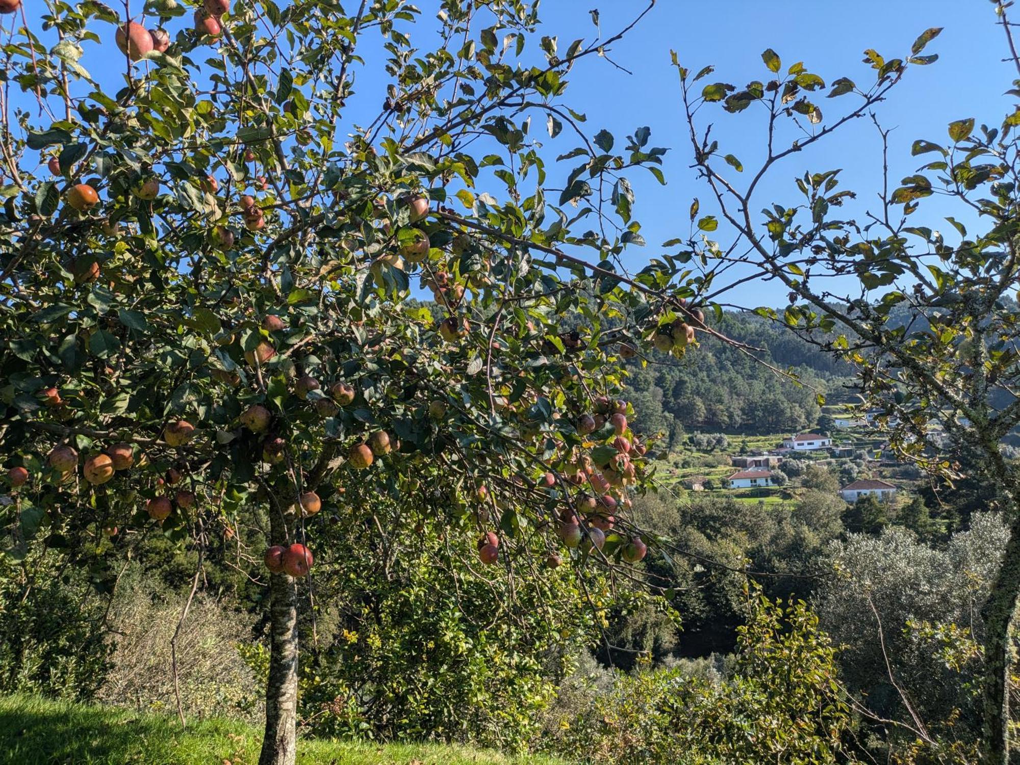 AmondeCasa Do Valo别墅 外观 照片