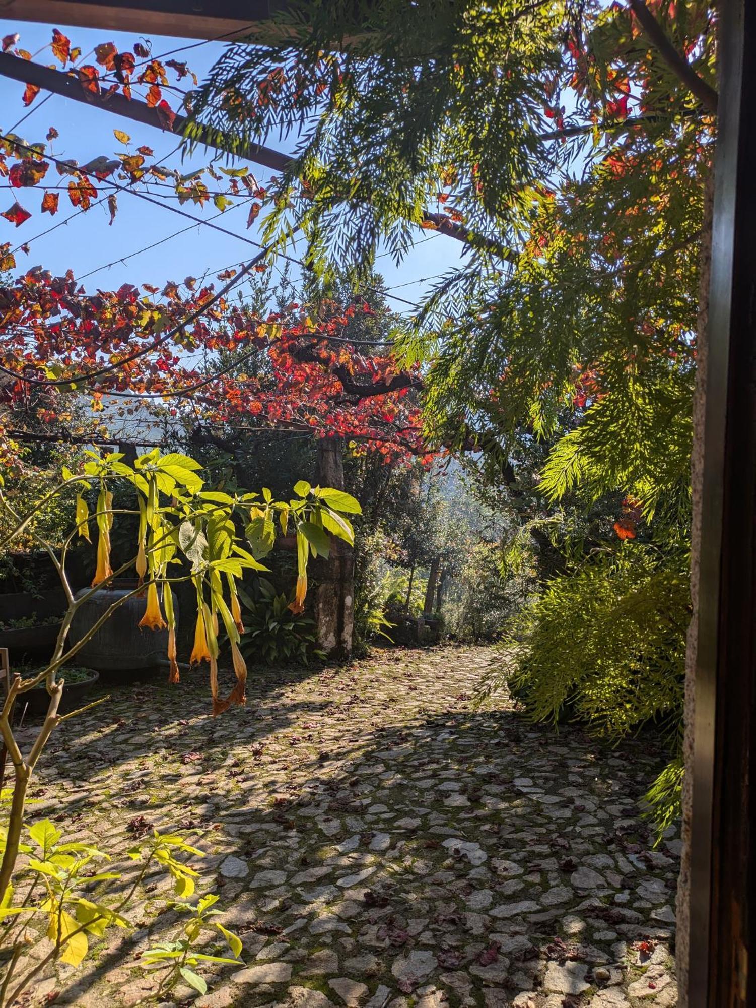 AmondeCasa Do Valo别墅 外观 照片